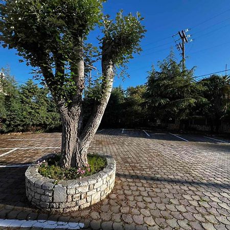 Apartamento Angela Corfu Potamós Exterior foto