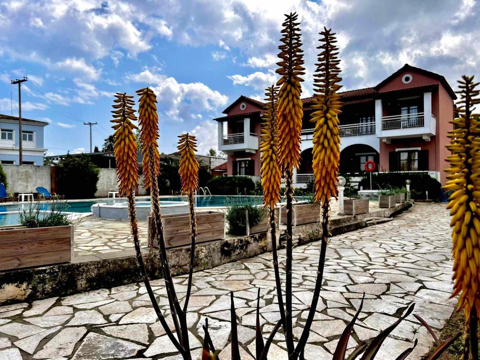 Apartamento Angela Corfu Potamós Exterior foto