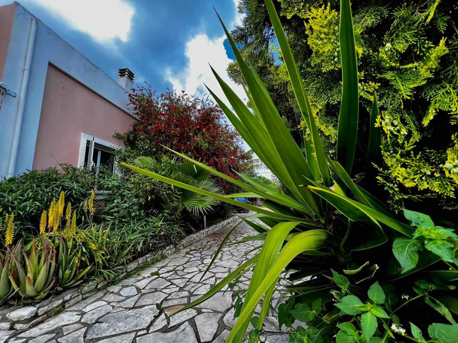 Apartamento Angela Corfu Potamós Exterior foto