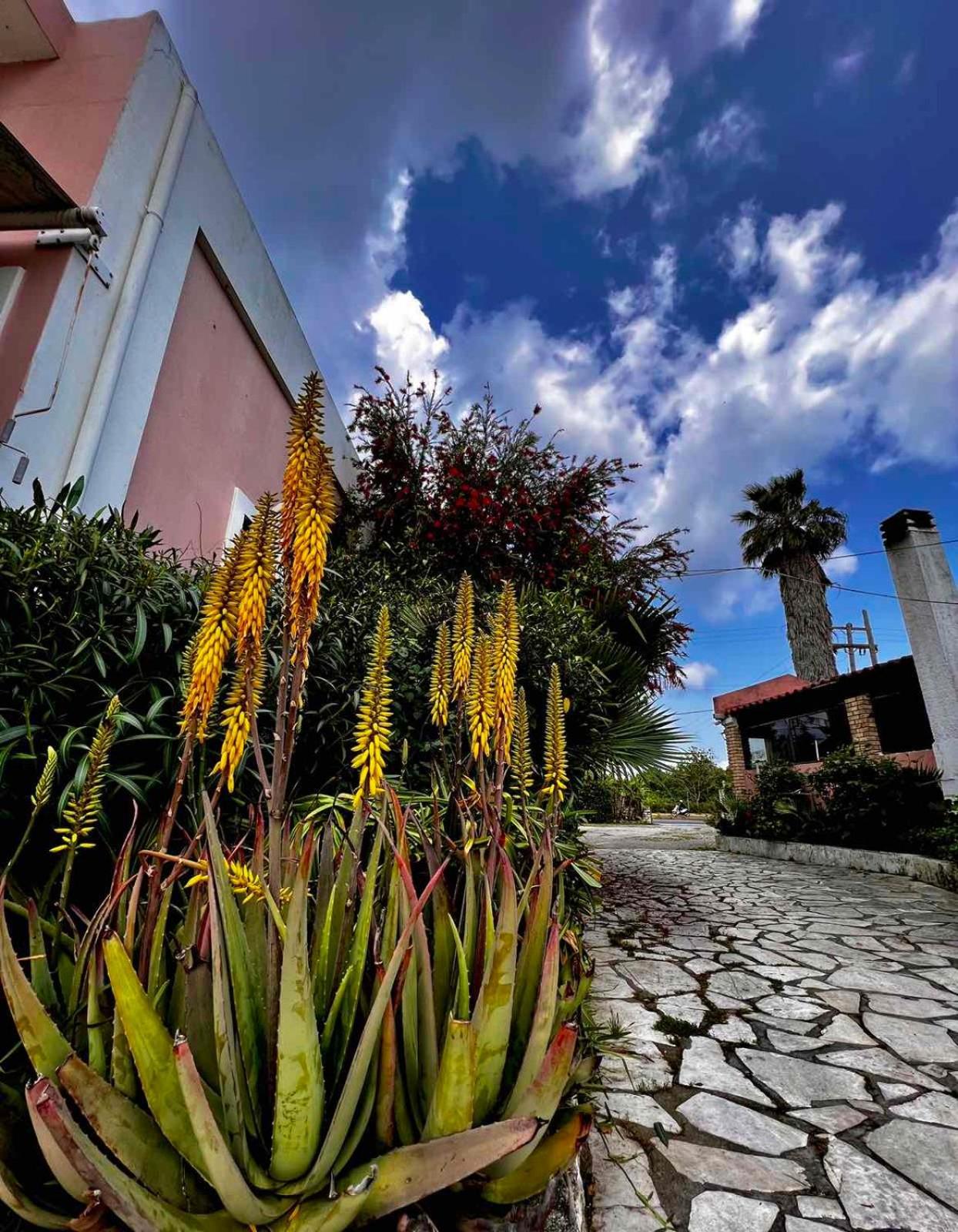 Apartamento Angela Corfu Potamós Exterior foto